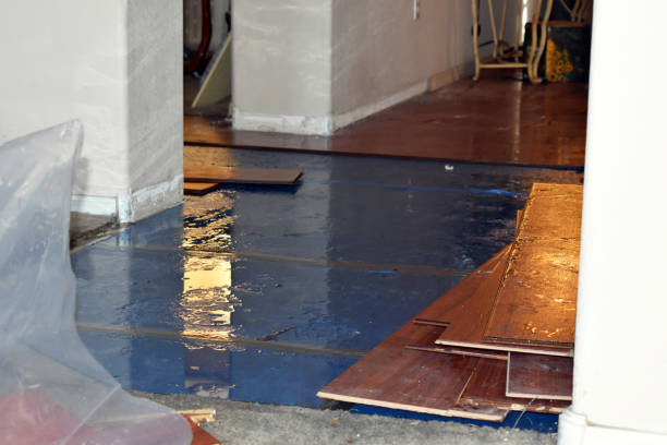 Professional Basement Water Removal technician working in Crab Orchard, WV